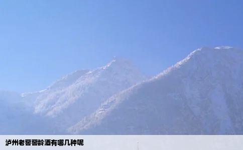 泸州老窖窖龄酒有哪几种呢