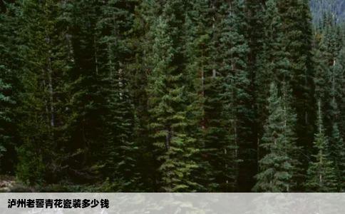 泸州老窖青花瓷装多少钱