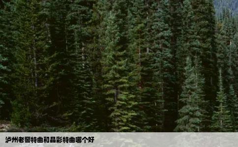 泸州老窖特曲和晶彩特曲哪个好