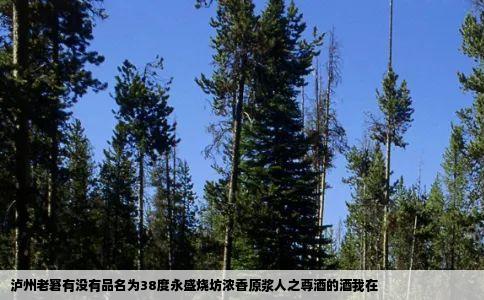 泸州老窘有没有品名为38度永盛烧坊浓香原浆人之尊酒的酒我在