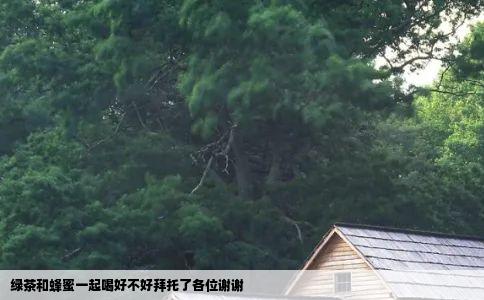 绿茶和蜂蜜一起喝好不好拜托了各位谢谢