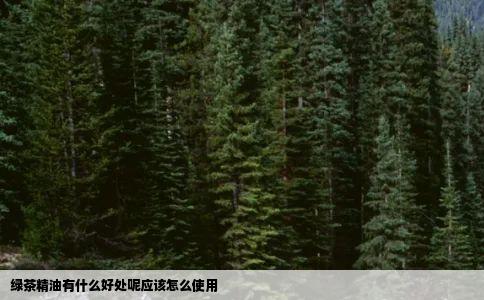 绿茶精油有什么好处呢应该怎么使用