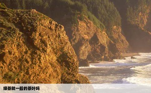 绿茶就一般的茶叶吗