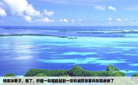 绿茶决明子苦丁柠檬一起喝能起到一定的减肥效果吗如题谢谢了