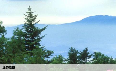 绿茶泡茶