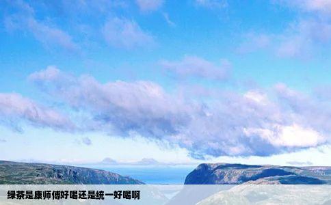 绿茶是康师傅好喝还是统一好喝啊