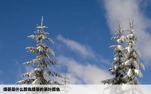 绿茶是什么颜色绿茶的茶叶颜色