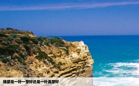 绿茶是一叶一芽好还是一叶两芽好