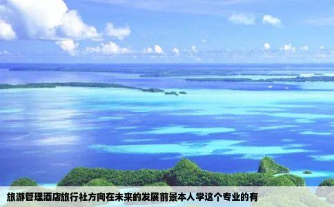 旅游管理酒店旅行社方向在未来的发展前景本人学这个专业的有