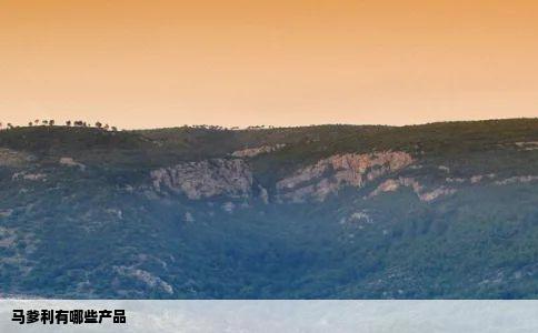 马爹利有哪些产品