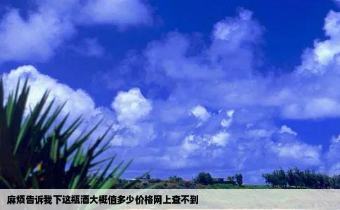 麻烦告诉我下这瓶酒大概值多少价格网上查不到