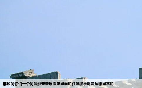 麻烦问你们一个问题那些音乐酒吧里面的驻唱歌手都是从哪里学的