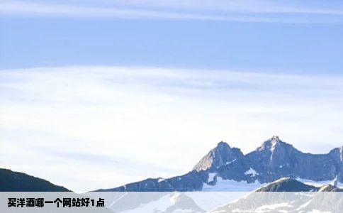 买洋酒哪一个网站好1点