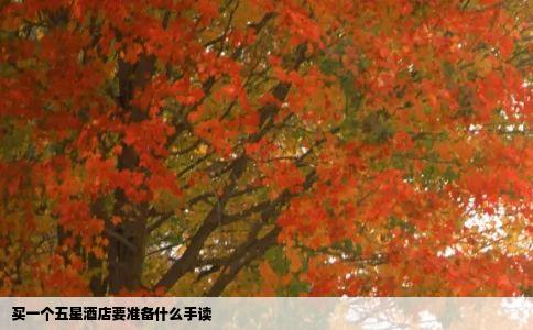 买一个五星酒店要准备什么手读