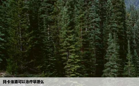 玛卡泡酒可以治疗早泄么