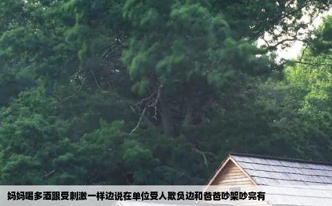 妈妈喝多酒跟受刺激一样边说在单位受人欺负边和爸爸吵架吵完有