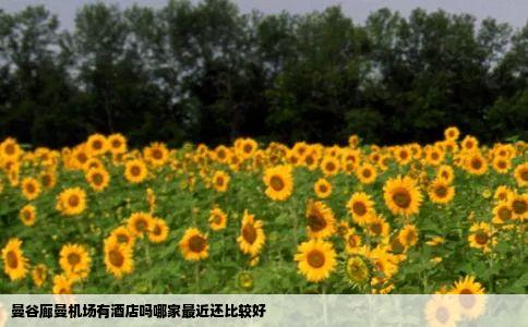 曼谷廊曼机场有酒店吗哪家最近还比较好