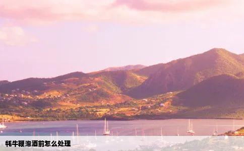 牦牛鞭泡酒前怎么处理