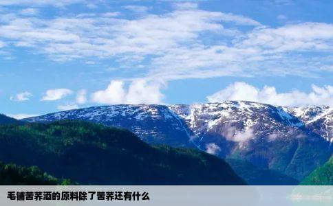 毛铺苦荞酒的原料除了苦荞还有什么