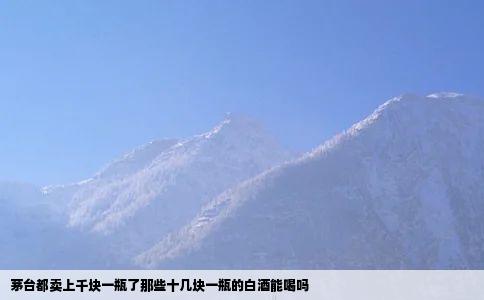 茅台都卖上千块一瓶了那些十几块一瓶的白酒能喝吗