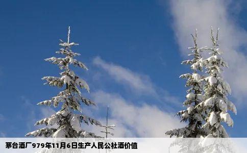 茅台酒厂979年11月6日生产人民公社酒价值