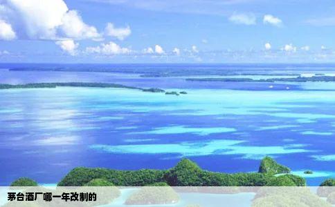 茅台酒厂哪一年改制的