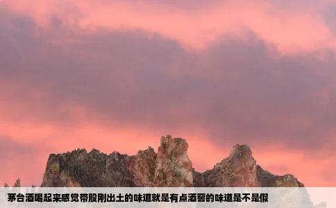 茅台酒喝起来感觉带股刚出土的味道就是有点酒窖的味道是不是假