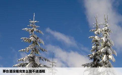 茅台酒没喝完怎么倒不进酒瓶