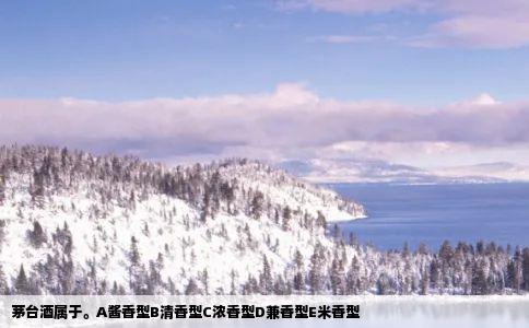 茅台酒属于。A酱香型B清香型C浓香型D兼香型E米香型