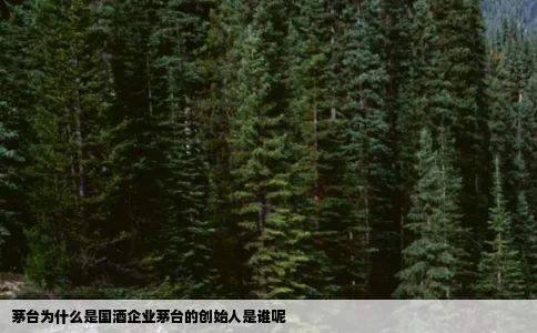 茅台为什么是国酒企业茅台的创始人是谁呢