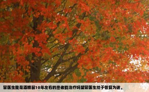 冒医生我是酒糟鼻10年左右的患者能治疗吗望冒医生给于答复为谢。