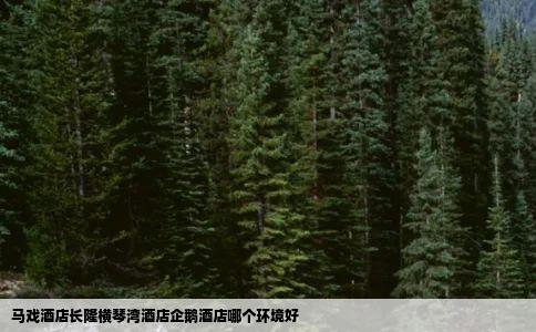 马戏酒店长隆横琴湾酒店企鹅酒店哪个环境好