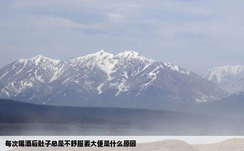 每次喝酒后肚子总是不舒服要大便是什么原因