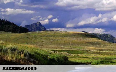 玫瑰桂花蜂蜜米酒的做法