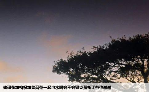 玫瑰花加枸杞加普洱茶一起泡水喝会不会犯克拜托了各位谢谢