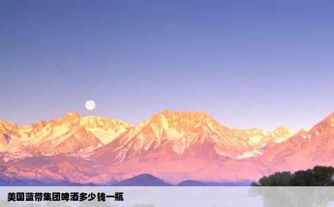 美国蓝带集团啤酒多少钱一瓶