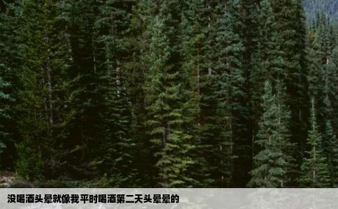 没喝酒头晕就像我平时喝酒第二天头晕晕的