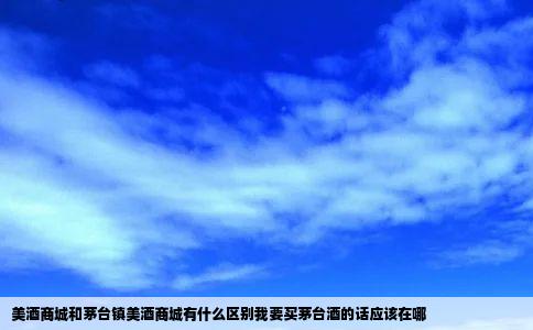 美酒商城和茅台镇美酒商城有什么区别我要买茅台酒的话应该在哪