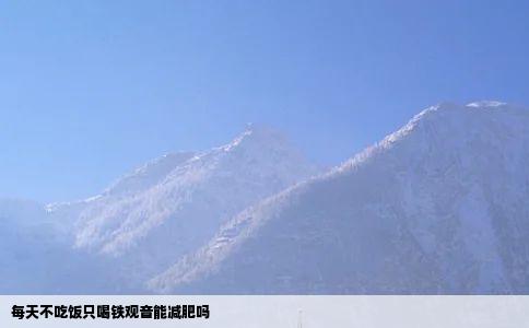 每天不吃饭只喝铁观音能减肥吗