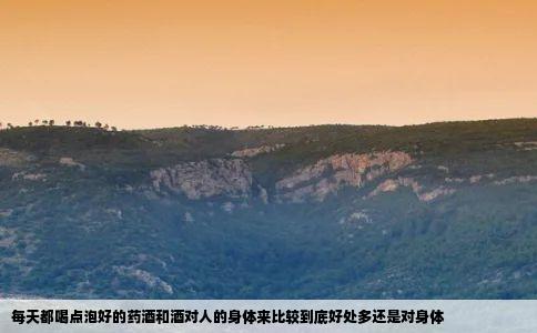 每天都喝点泡好的药酒和酒对人的身体来比较到底好处多还是对身体