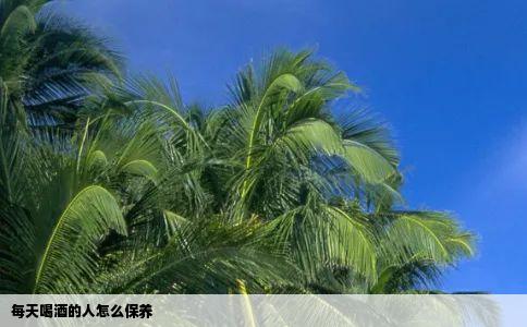 每天喝酒的人怎么保养