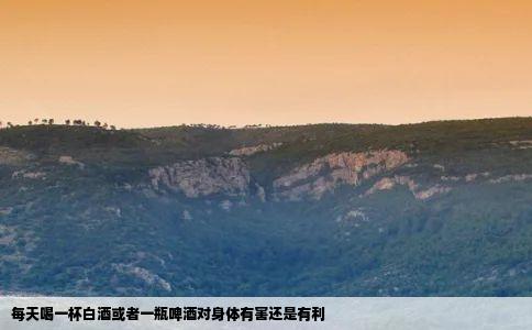 每天喝一杯白酒或者一瓶啤酒对身体有害还是有利