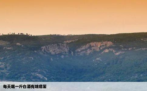 每天喝一斤白酒有啥危害