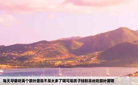 每天早餐吃两个茶叶蛋是不是太多了呢可是孩子特别喜欢吃茶叶蛋呢