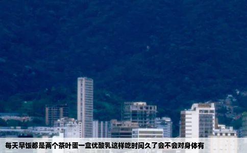 每天早饭都是两个茶叶蛋一盒优酸乳这样吃时间久了会不会对身体有
