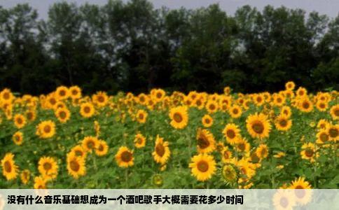 没有什么音乐基础想成为一个酒吧歌手大概需要花多少时间