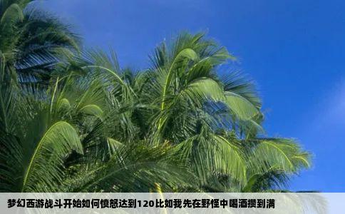 梦幻西游战斗开始如何愤怒达到120比如我先在野怪中喝酒攒到满