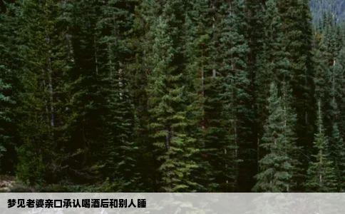 梦见老婆亲口承认喝酒后和别人睡