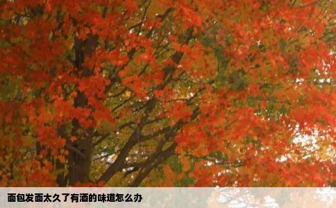 面包发面太久了有酒的味道怎么办
