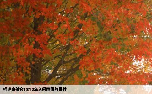 描述拿破仑1812年入侵俄国的事件